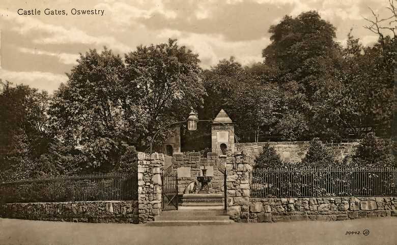 Postcard Image