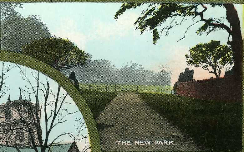 Postcard Image