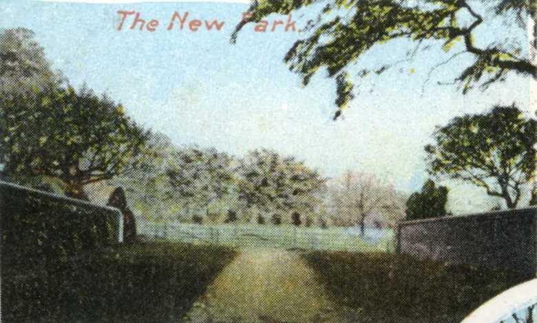Postcard Image